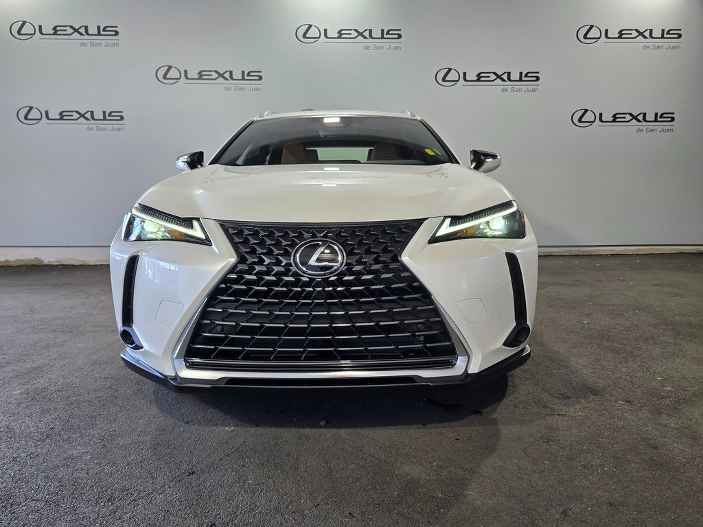 2025 Lexus UX photo 6