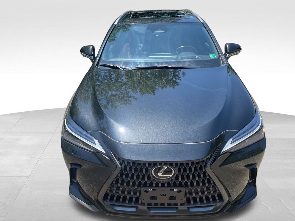 2024 Lexus NX 450h+ Luxury photo 12