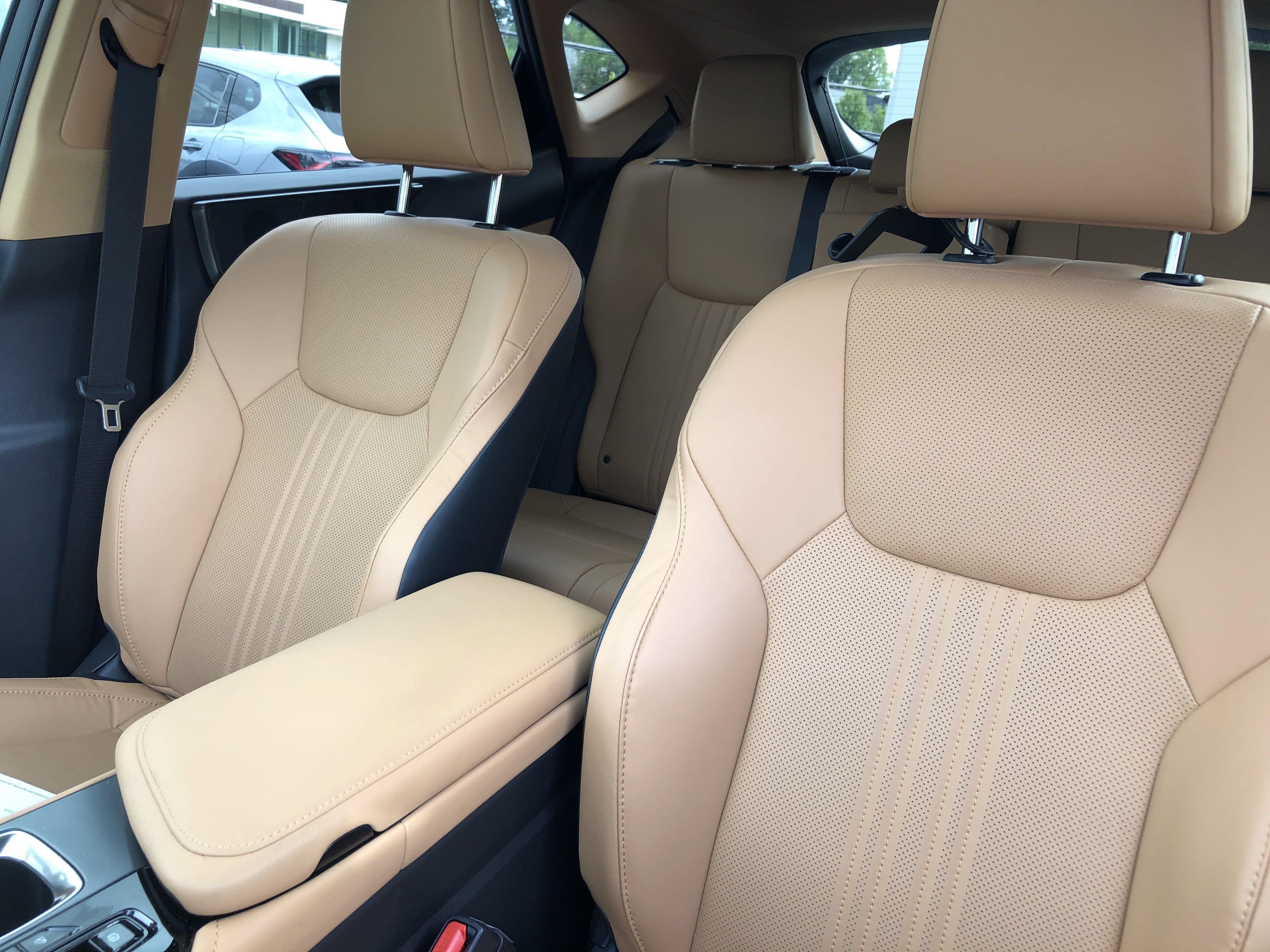 2024 Lexus NX 350 Premium photo 3