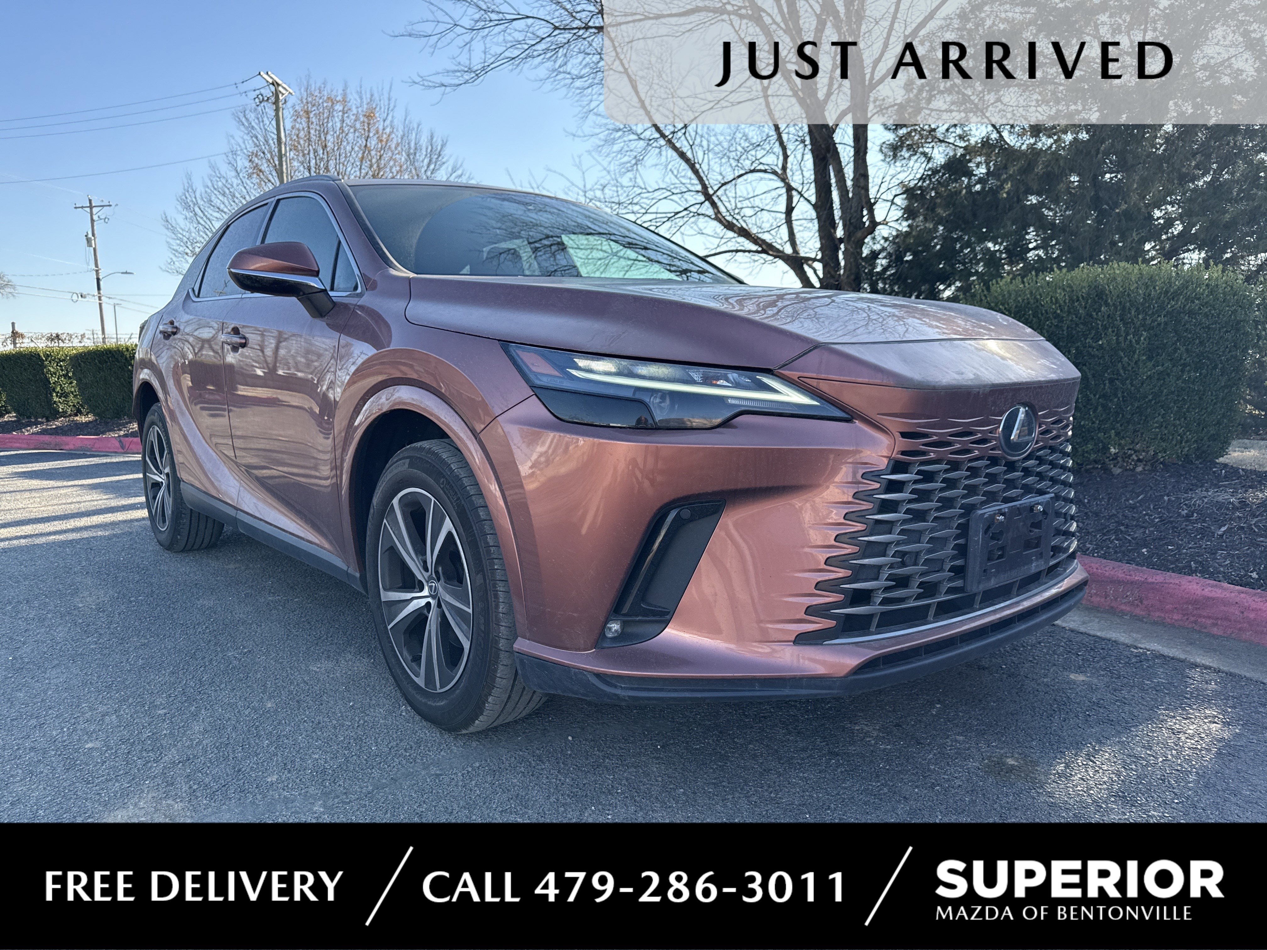 2023 Lexus RX 350's photo