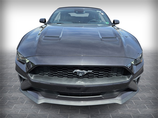 2023 Ford Mustang EcoBoost Premium photo 2