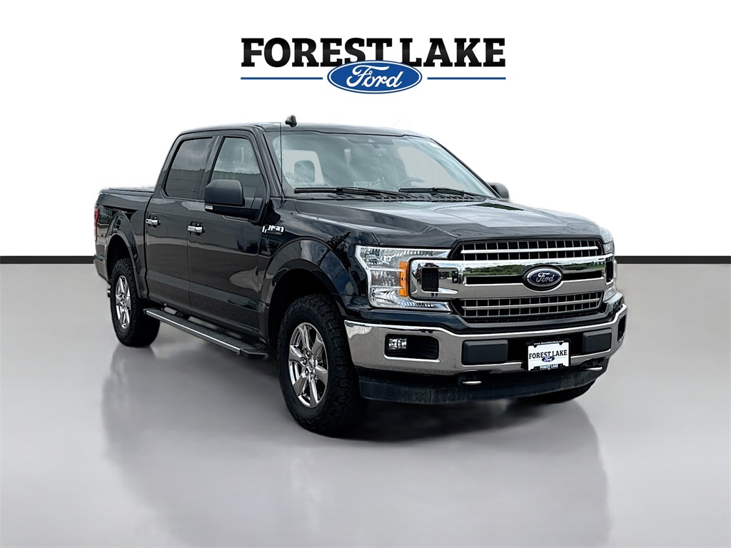 Certified 2019 Ford F-150 XLT with VIN 1FTEW1EP6KFB28923 for sale in Forest Lake, Minnesota