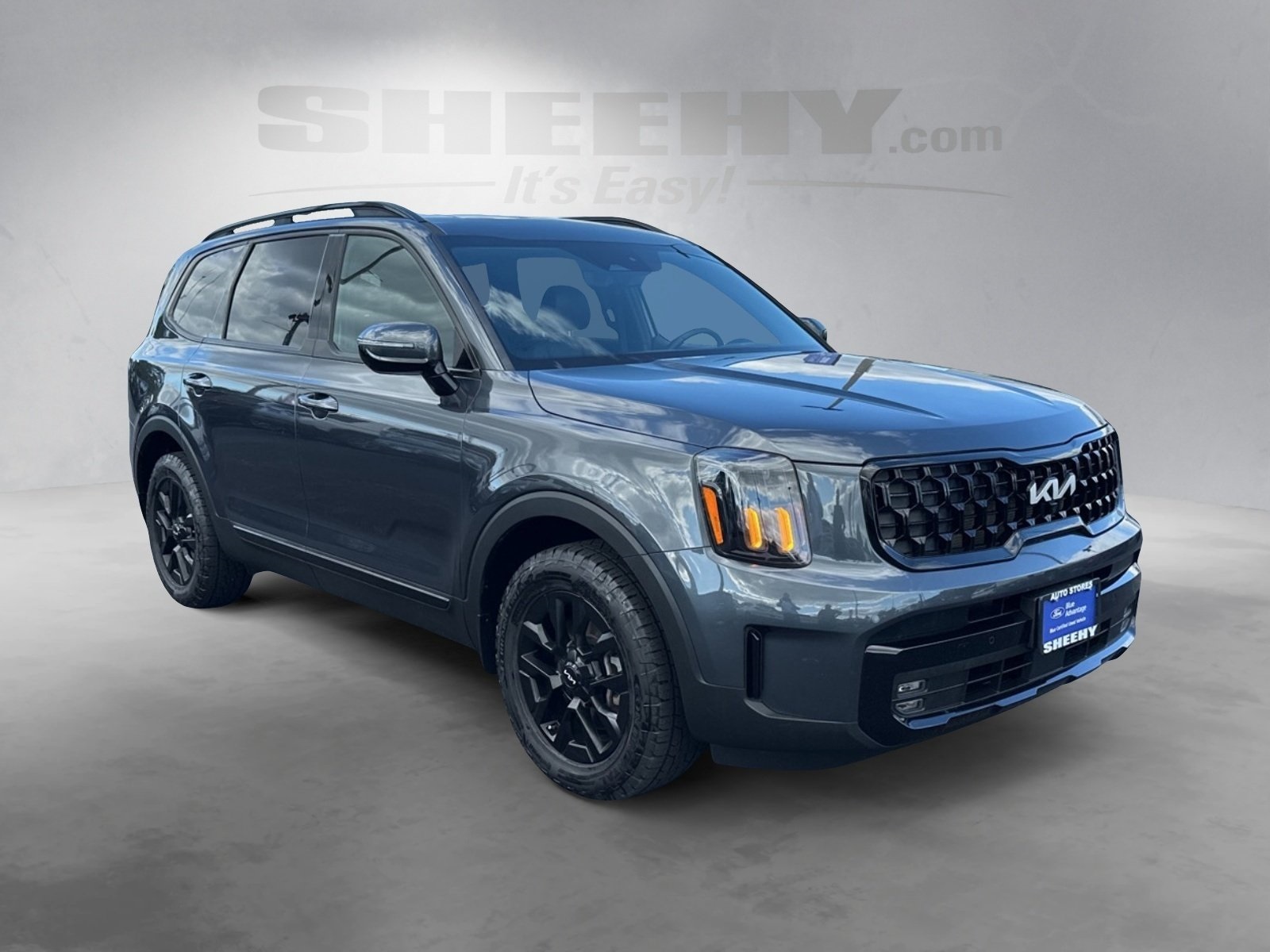 2024 Kia Telluride SX X-Pro photo 2