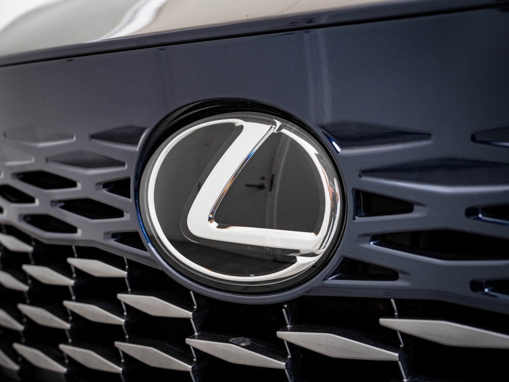 2024 Lexus RX 350h photo 3