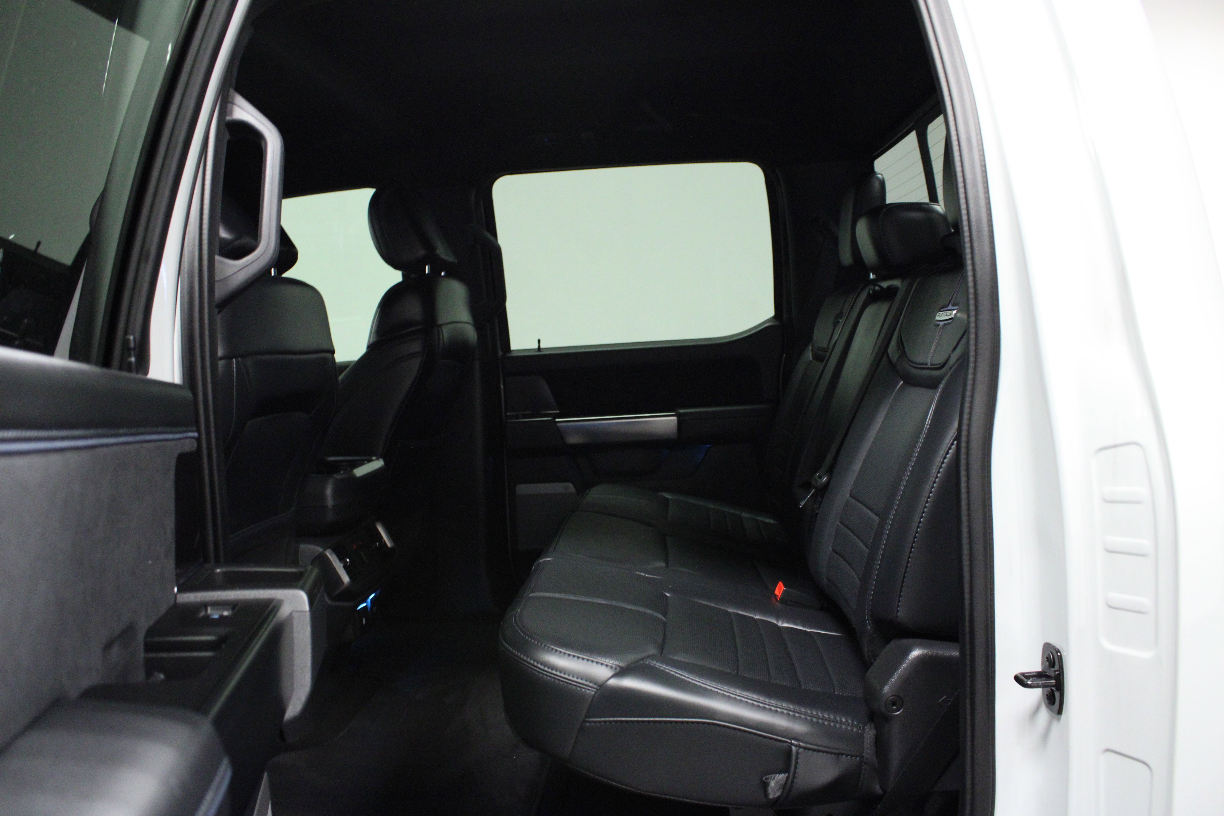 2024 Ford F-150 Platinum photo 11