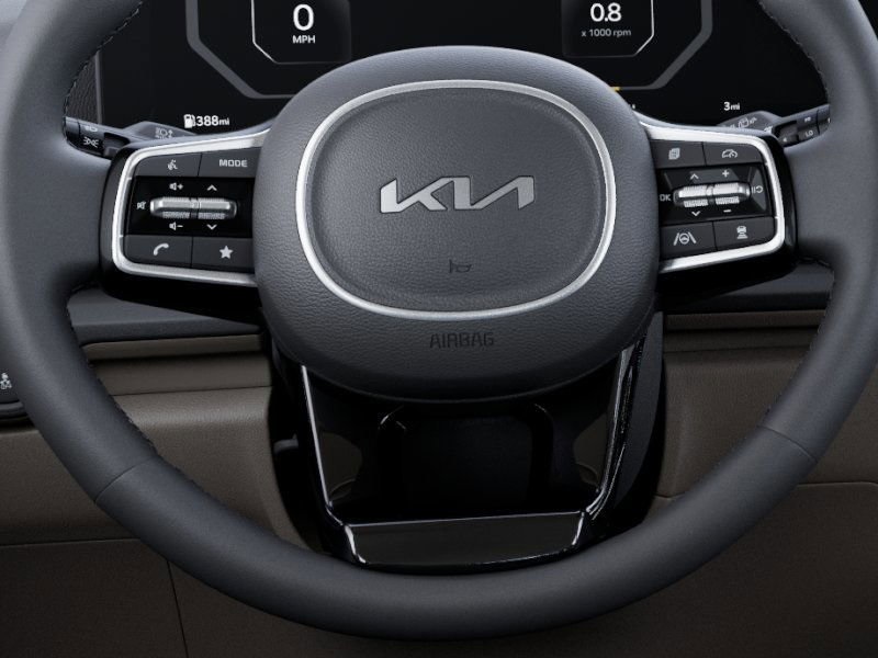 2025 Kia Carnival SX photo 22