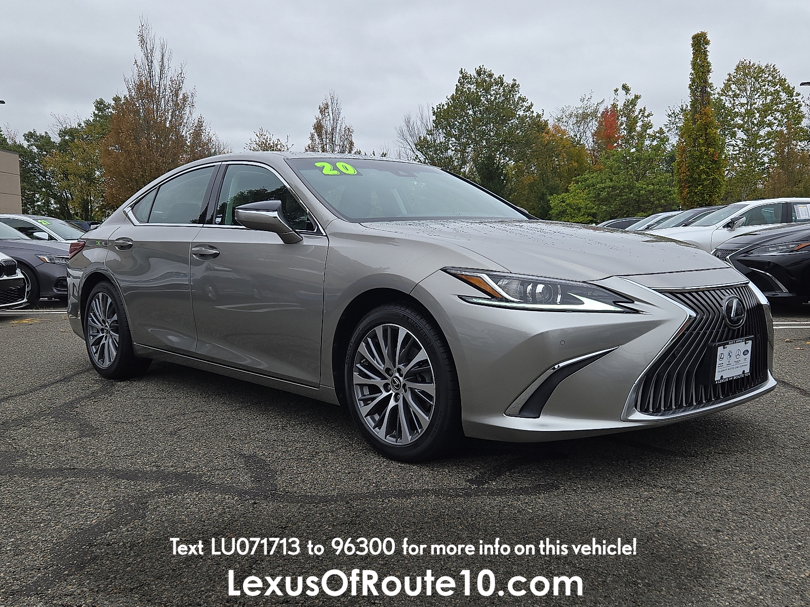 2020 Lexus ES 350's photo