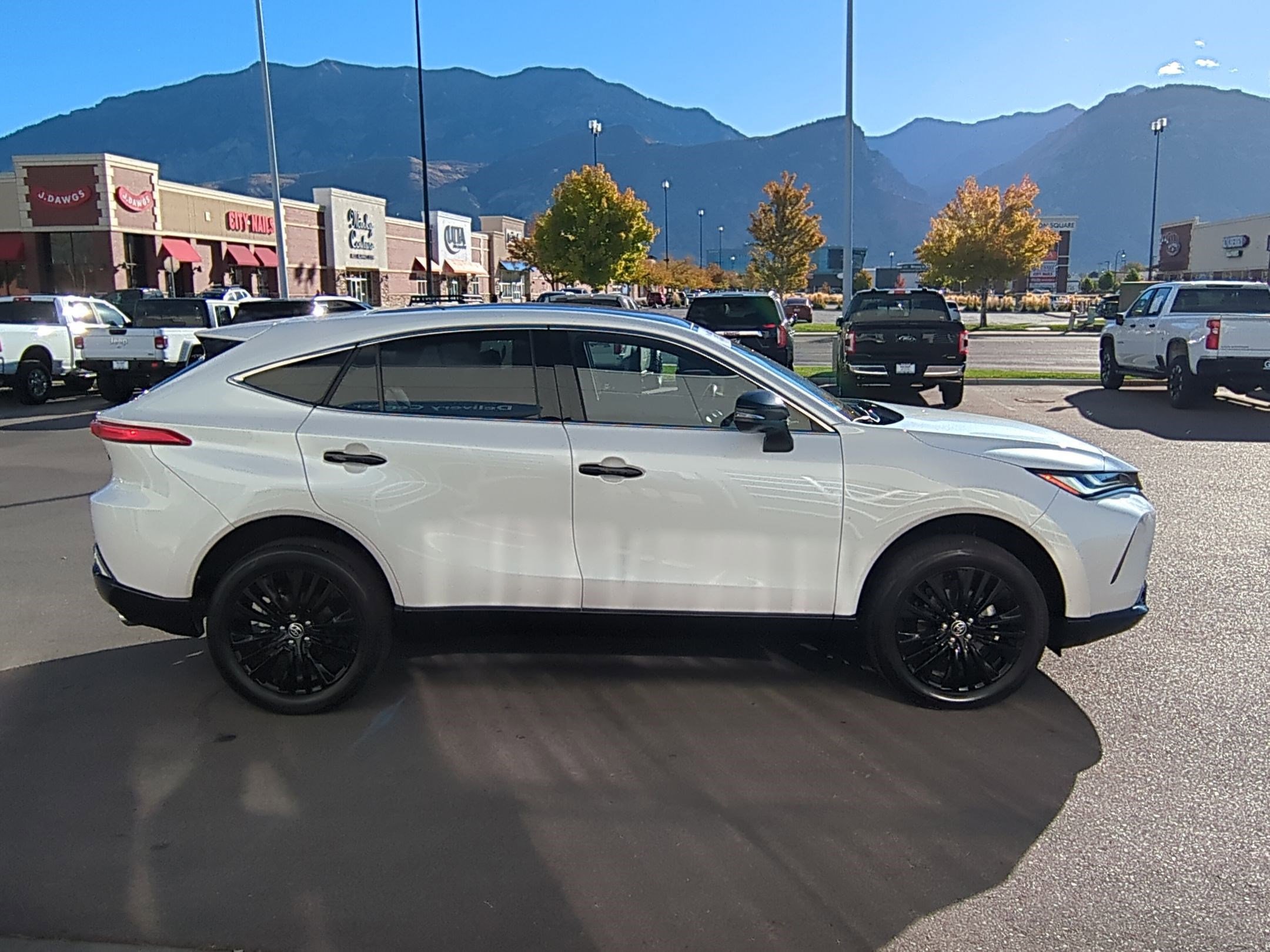 2024 Toyota Venza photo 2