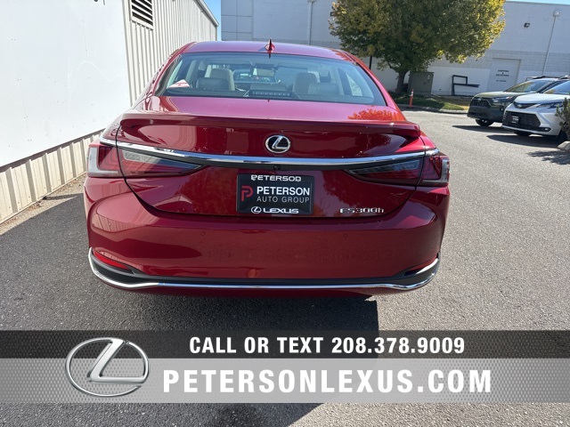 2025 Lexus ES 300h photo 4