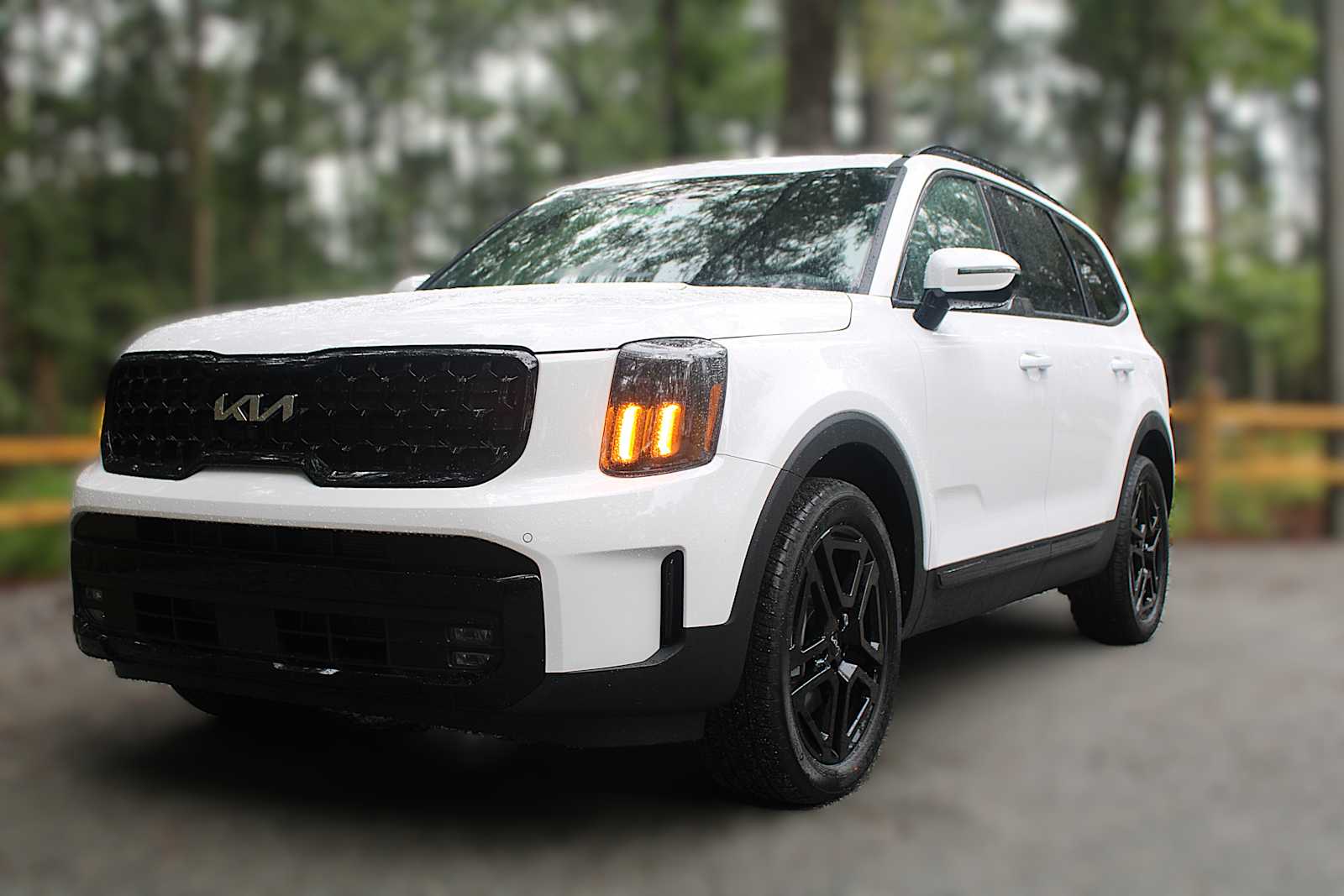 2025 Kia Telluride SX Prestige X-Line photo 2