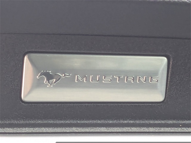 2022 Ford Mustang GT Premium photo 22