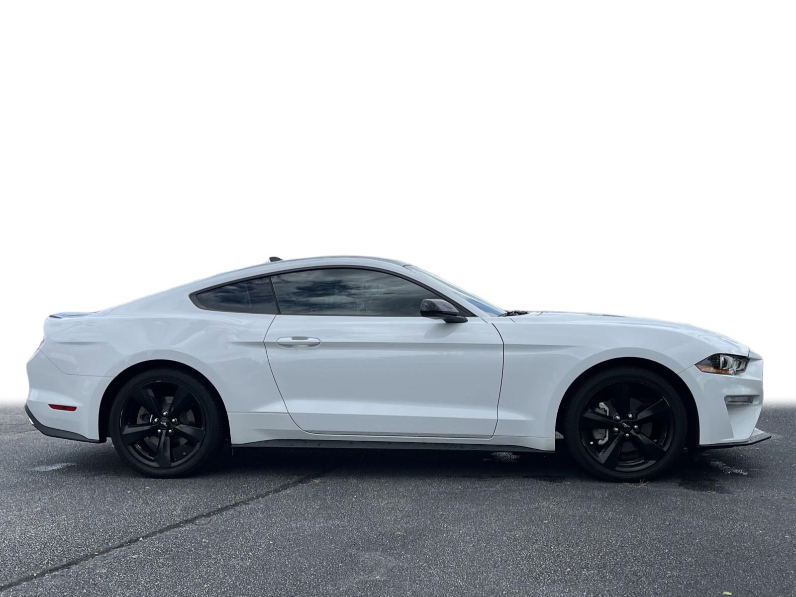 2022 Ford Mustang EcoBoost photo 18