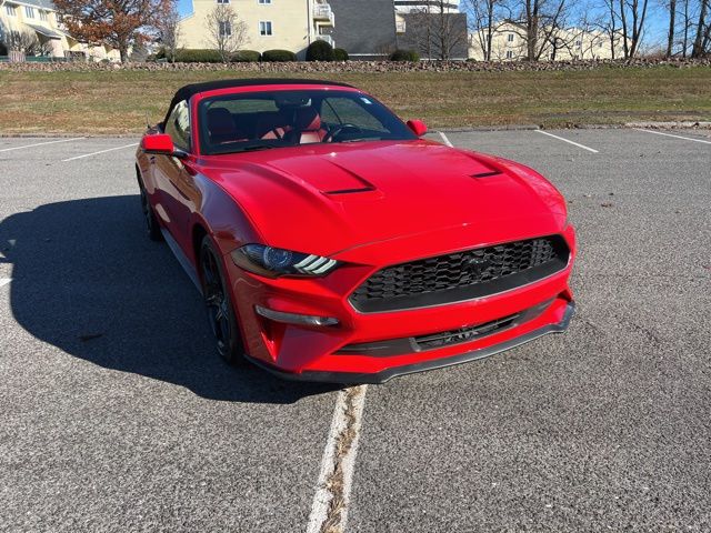 2019 Ford Mustang EcoBoost Premium's photo