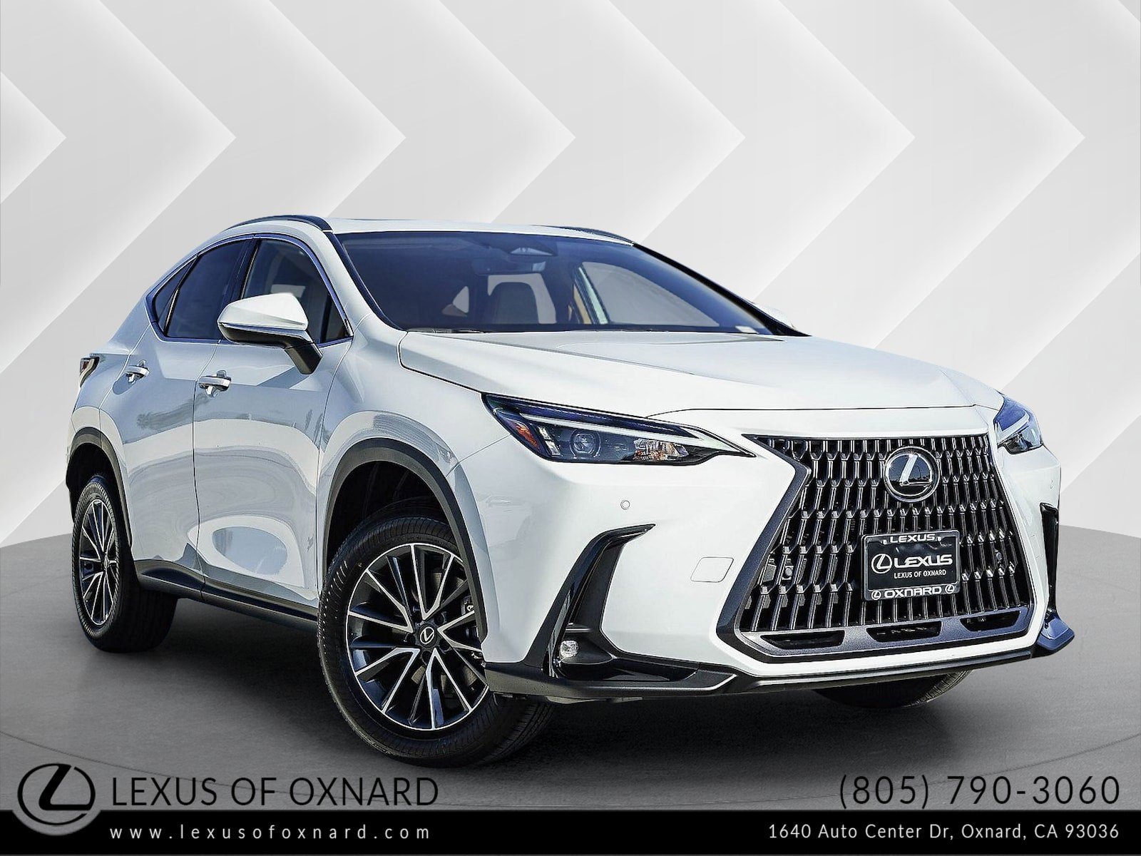 2026 Lexus NX Hybrid 350h's photo