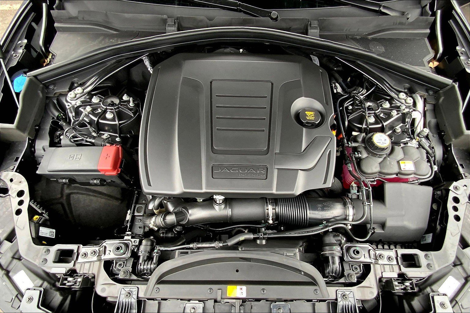 2026 Jaguar F-PACE P250 R-Dynamic S photo 11