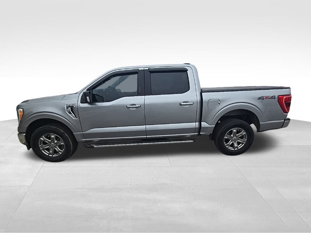 2023 Ford F-150 XLT's photo