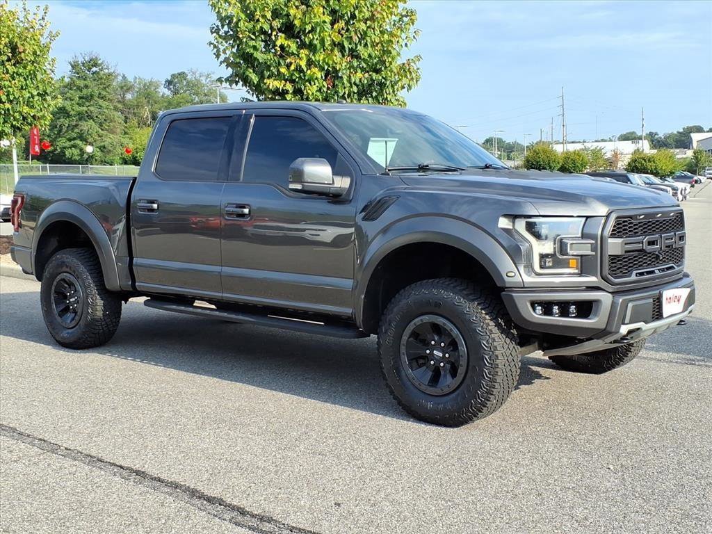 2018 Ford F-150 Raptor photo 2
