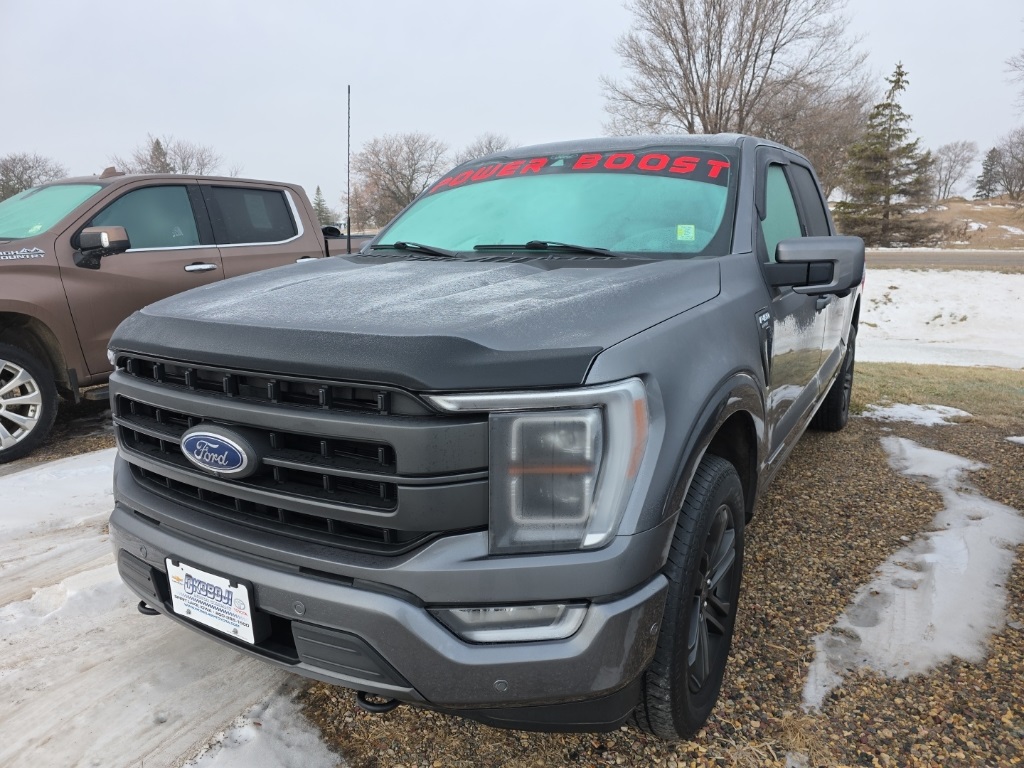 2021 Ford F-150 Lariat's photo