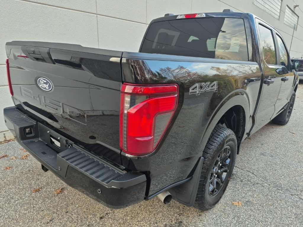 2025 Ford F-150 STX photo 3