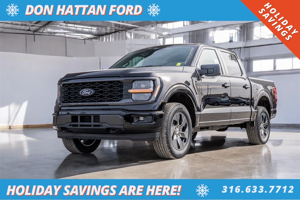 2025 Ford F-150 STX's photo