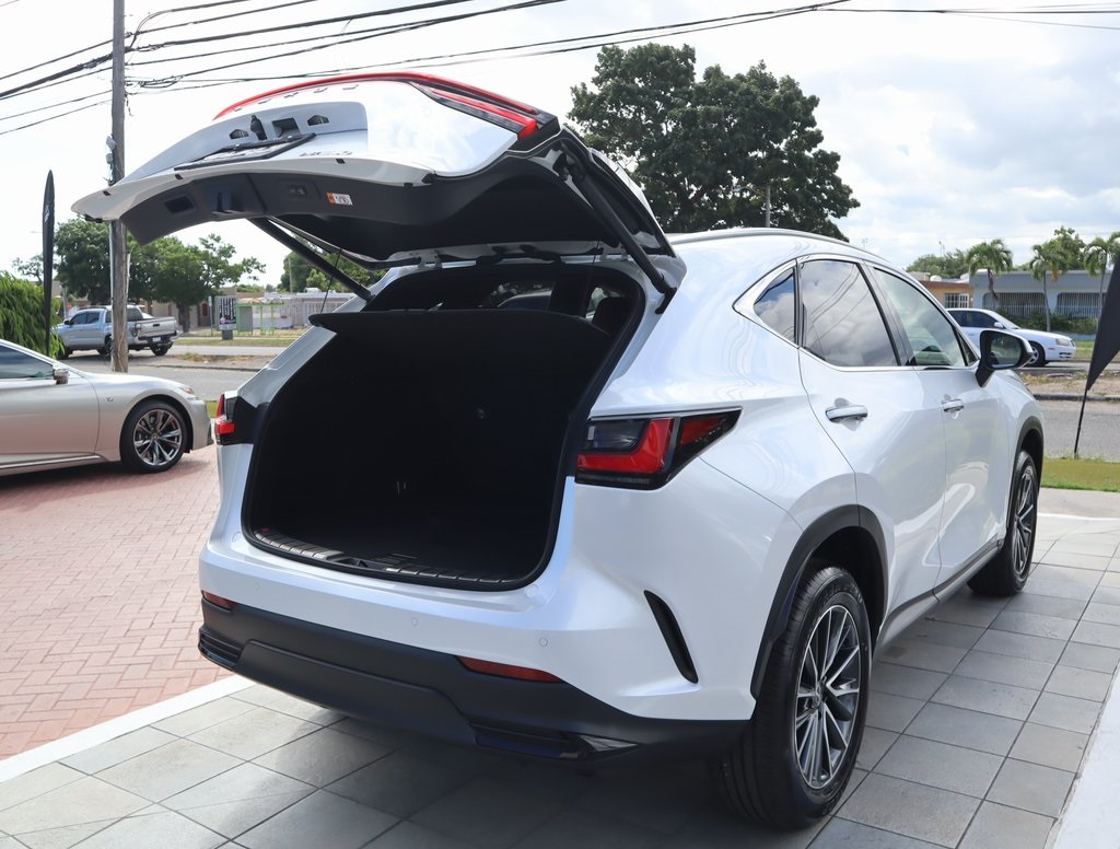 2025 Lexus NX 250 photo 17