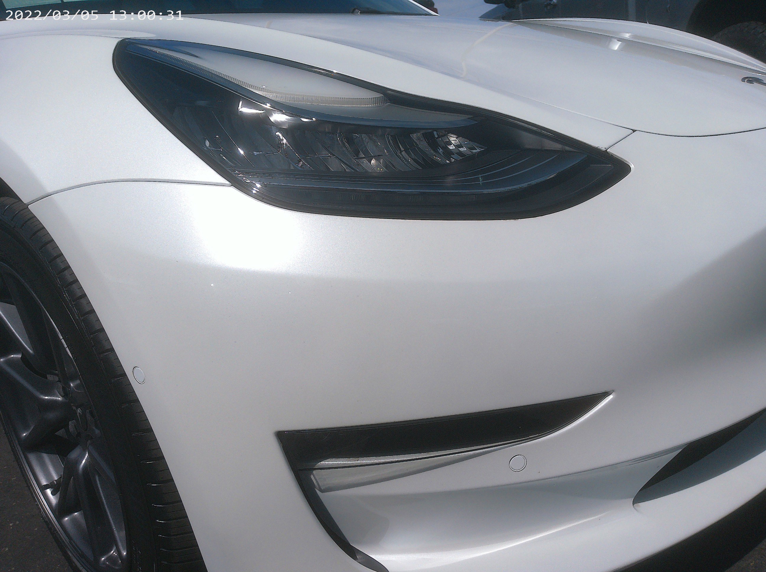 2019 Tesla Model 3 Long Range photo 10
