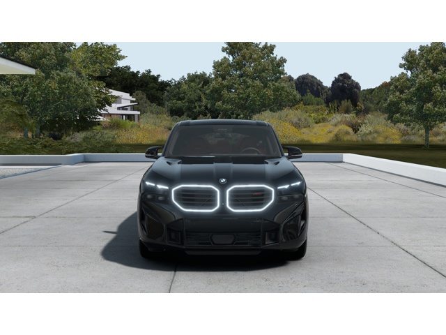 New 2025 Black BMW  image 3