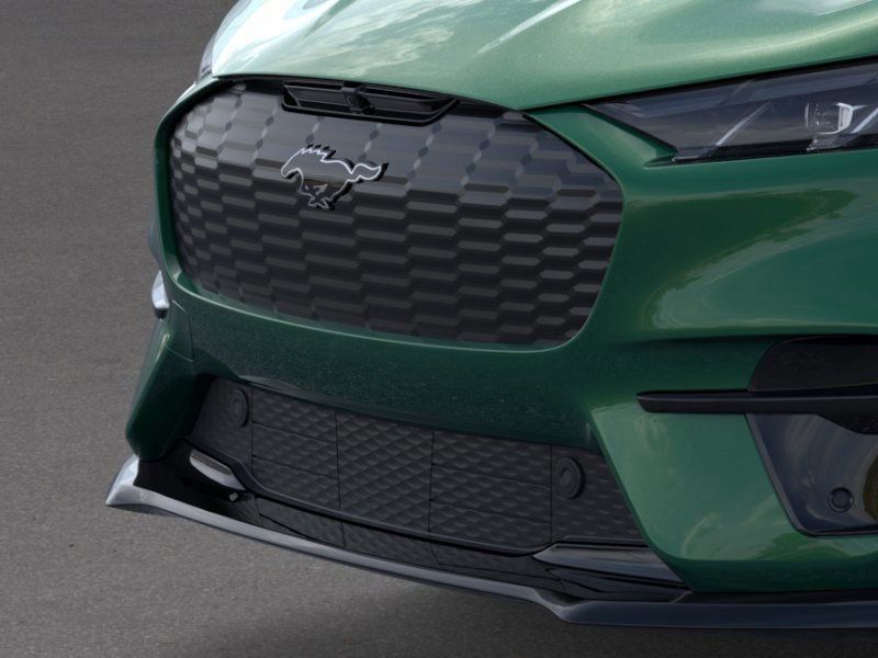 2025 Ford Mustang Mach-E GT photo 13