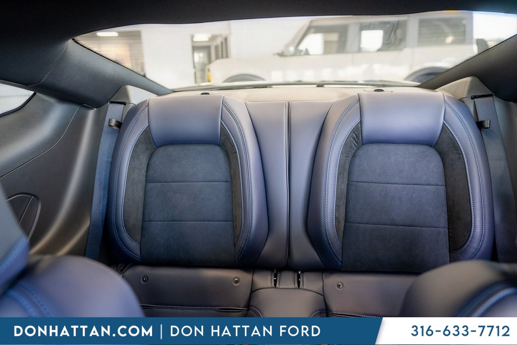 2025 Ford Mustang Dark Horse photo 19
