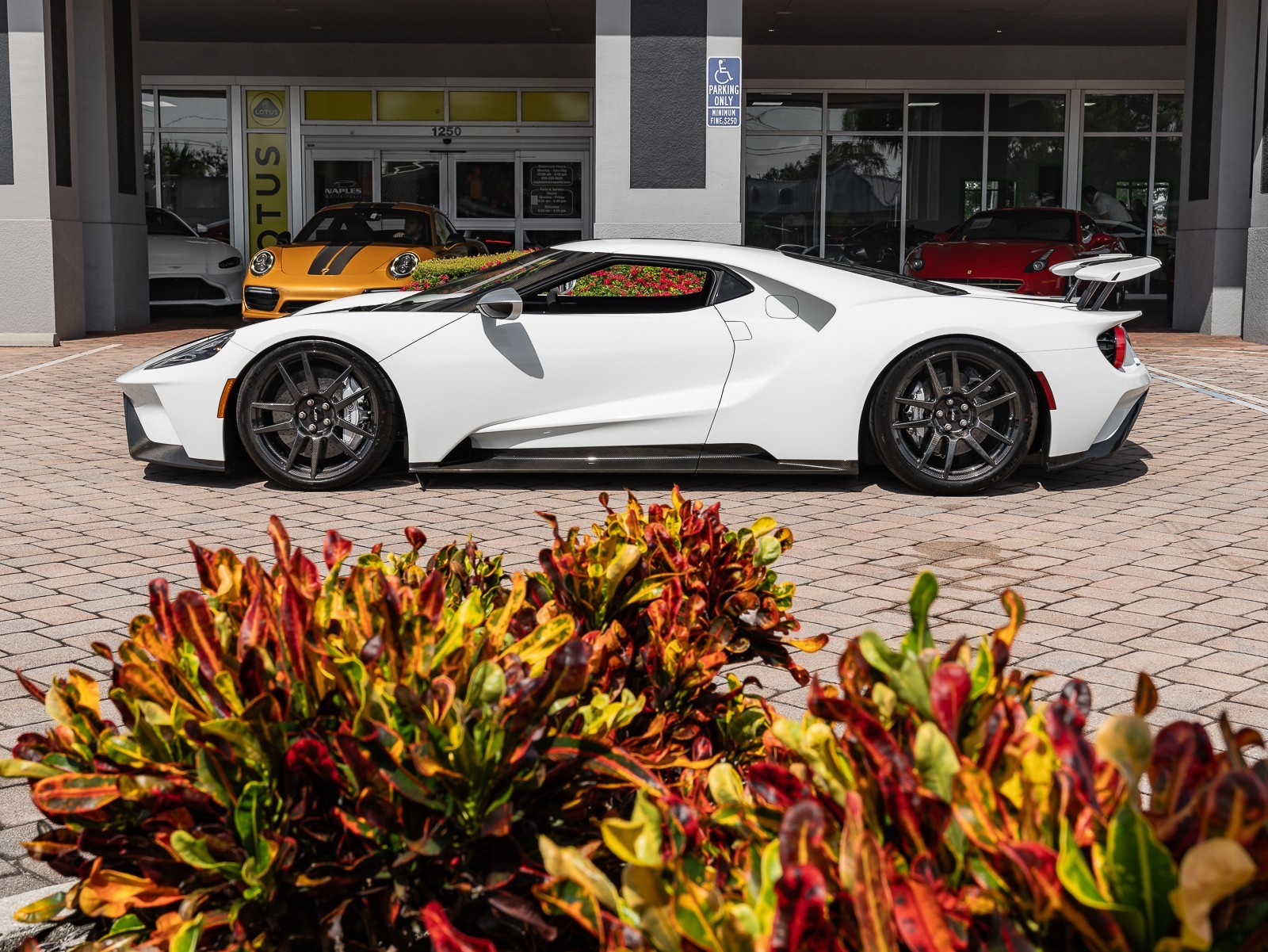 2019 Ford GT photo 7