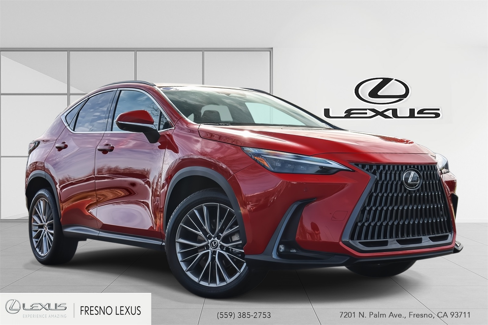 2024 Lexus NX 350's photo