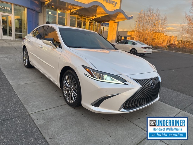 2020 Lexus ES Hybrid 300h Luxury's photo