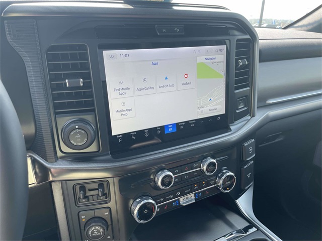 2025 Ford F-150 Platinum photo 9