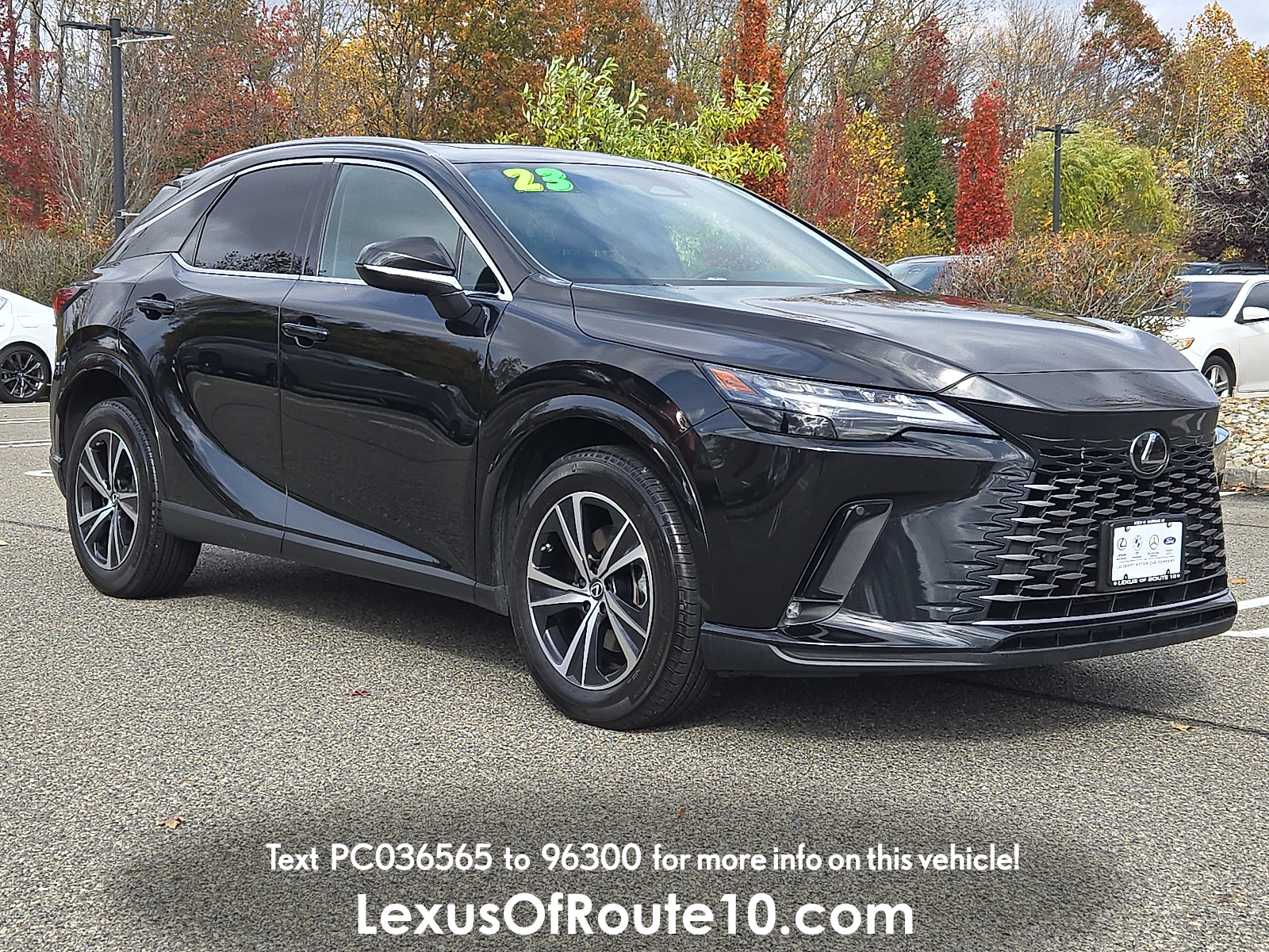 2023 Lexus RX 350's photo