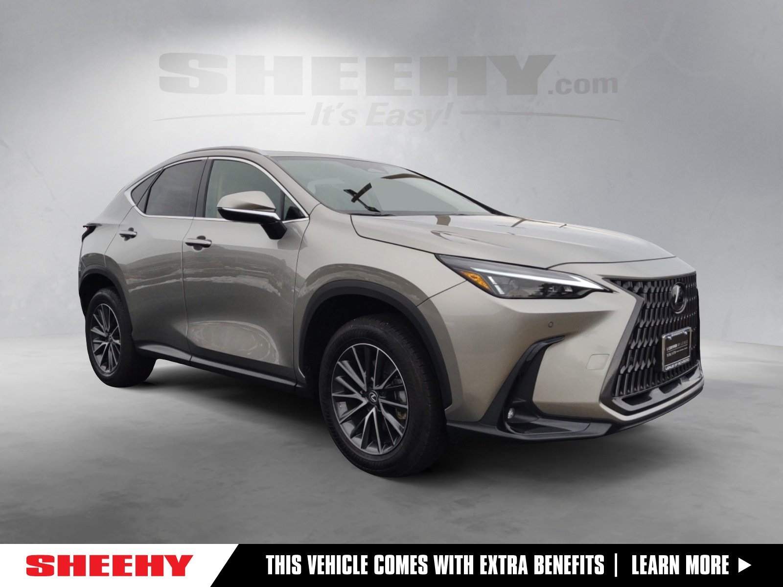 2025 Lexus NX 350's photo