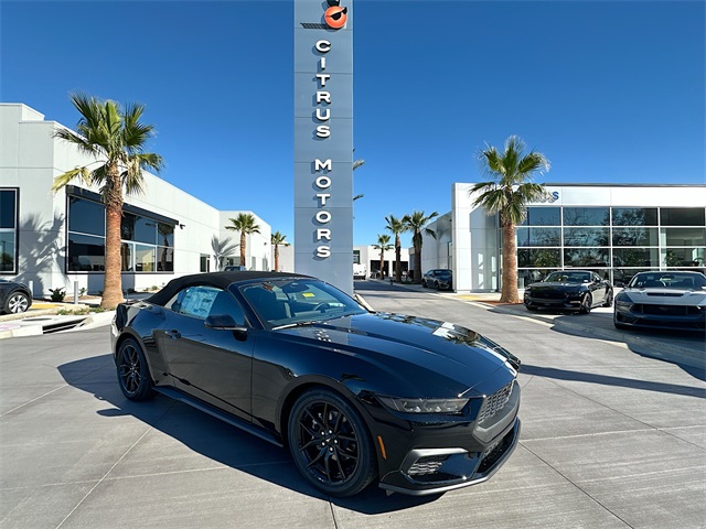 2026 Ford Mustang EcoBoost's photo