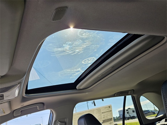 2025 Toyota RAV4 Hybrid Limited photo 3