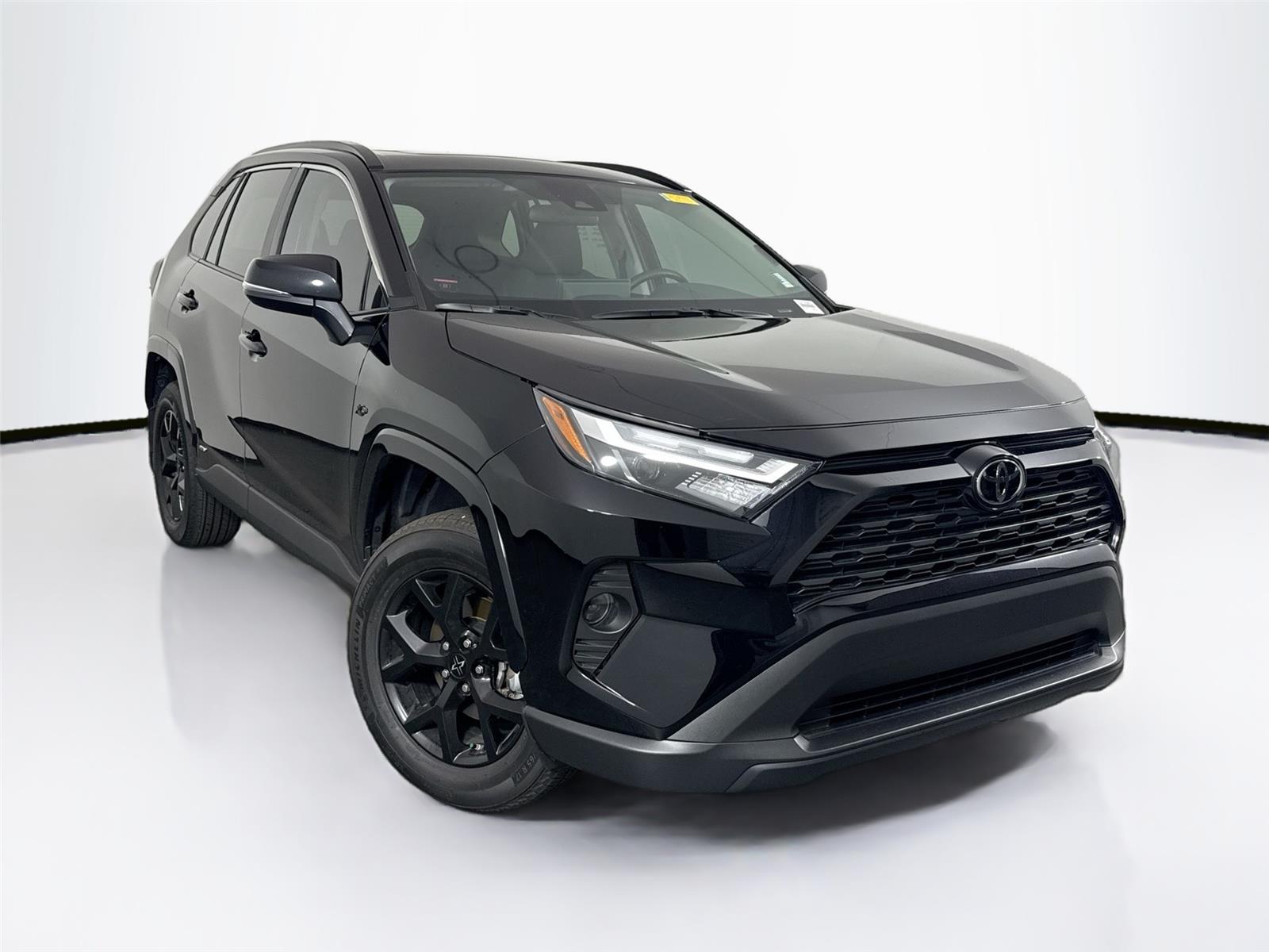 2025 Toyota RAV4 Hybrid XLE photo 4