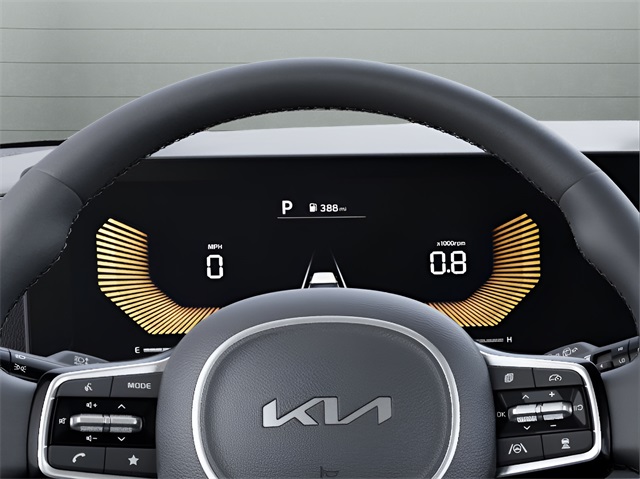 2026 Kia Carnival EX photo 16