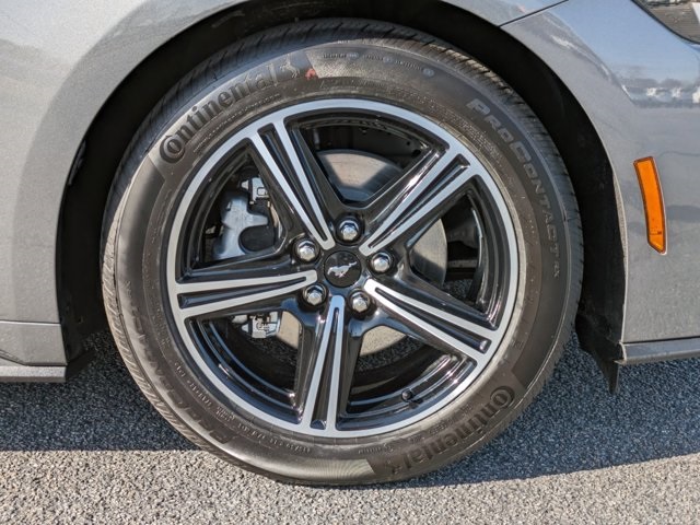 2025 Ford Mustang EcoBoost photo 12
