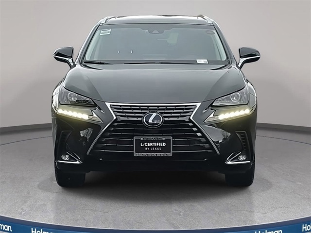 2019 Lexus NX 300h Luxury photo 2