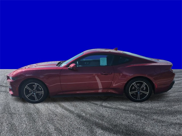 2025 Ford Mustang EcoBoost photo 7