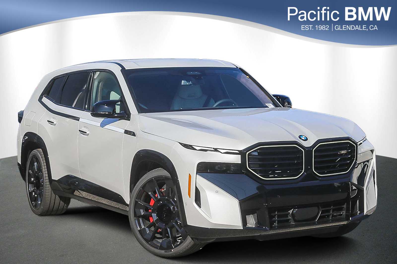 2025 BMW XM 