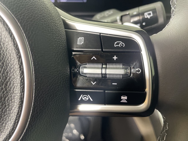 2026 Kia Carnival EX photo 24