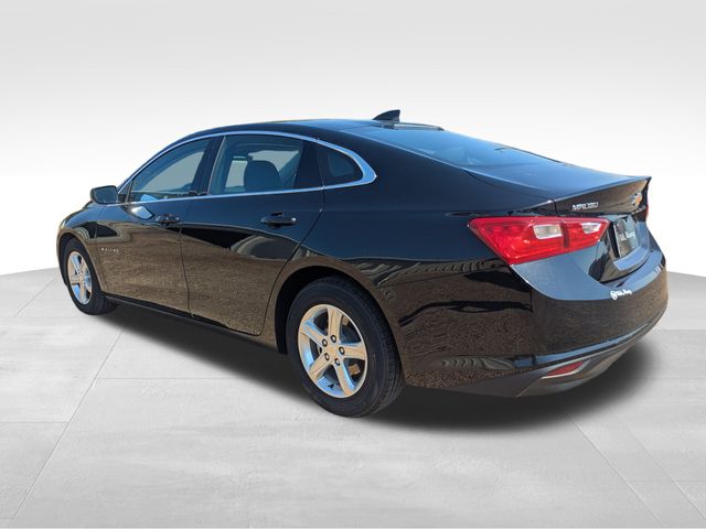 2023 Chevrolet Malibu 1LT photo 3