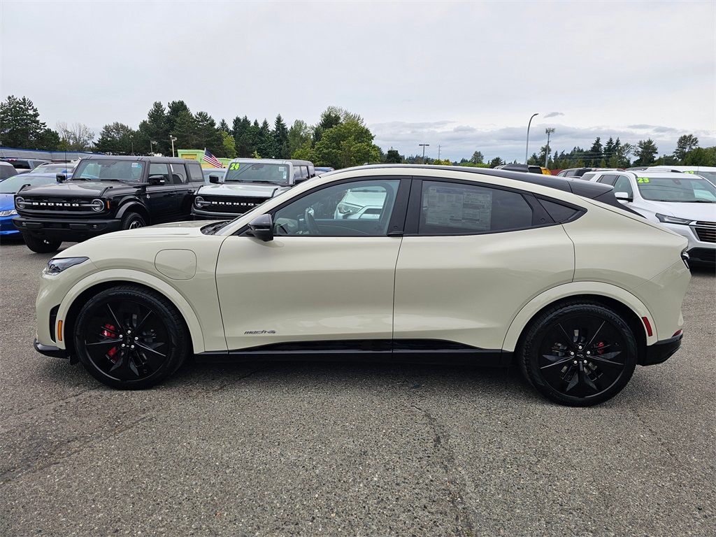 2025 Ford Mustang Mach-E GT photo 4