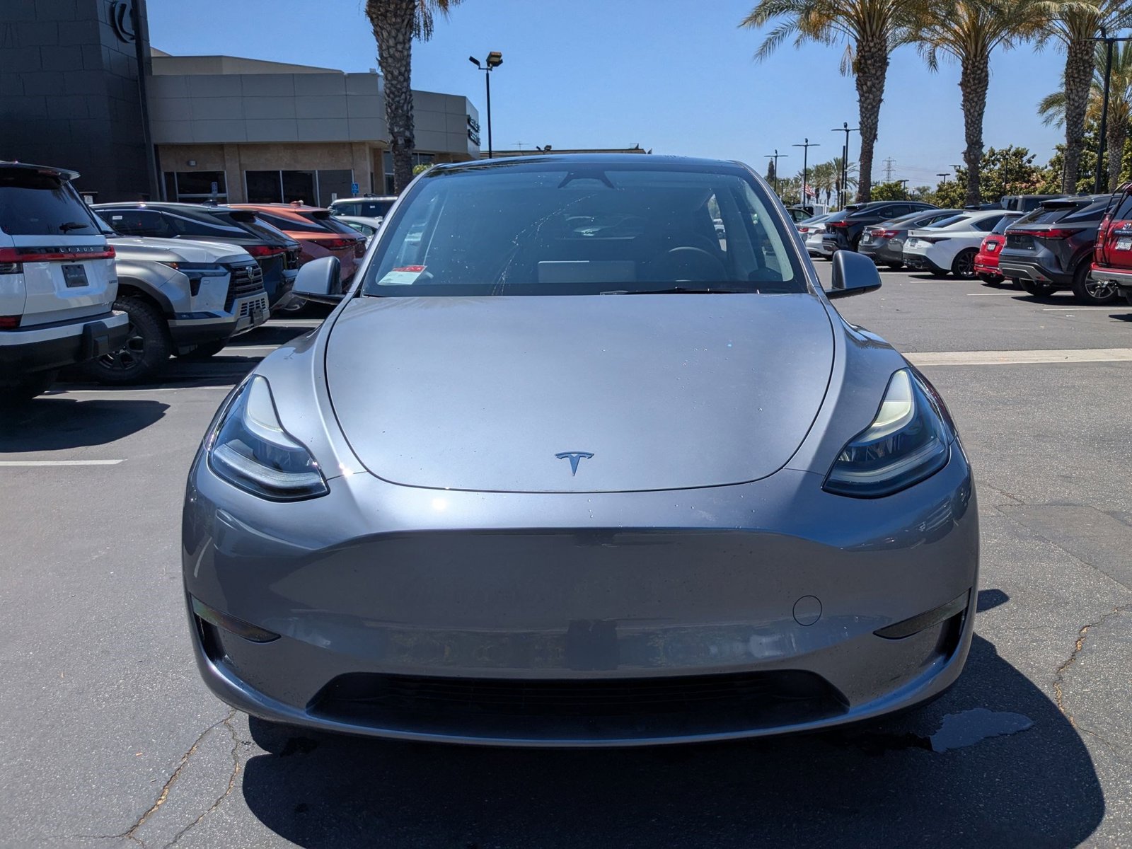 Used 2025 Tesla Model Y Long Range with VIN 7SAYGAEE0SF233666 for sale in Northfield, Minnesota