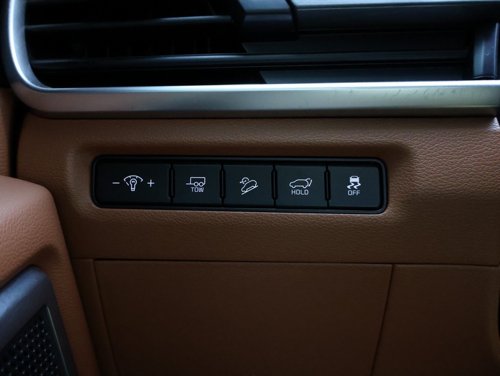 2025 Kia Telluride EX X-Line photo 30
