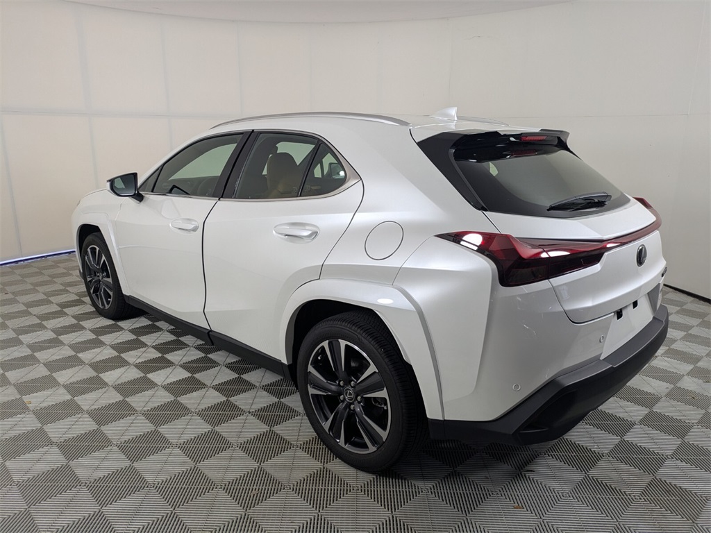 2025 Lexus UX photo 6