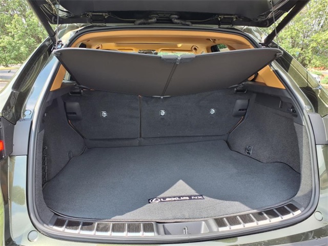 2025 Lexus NX 250 Premium photo 14